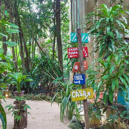 Guest House La Aldea Holistic Experience Cancún Eksteriør bilde