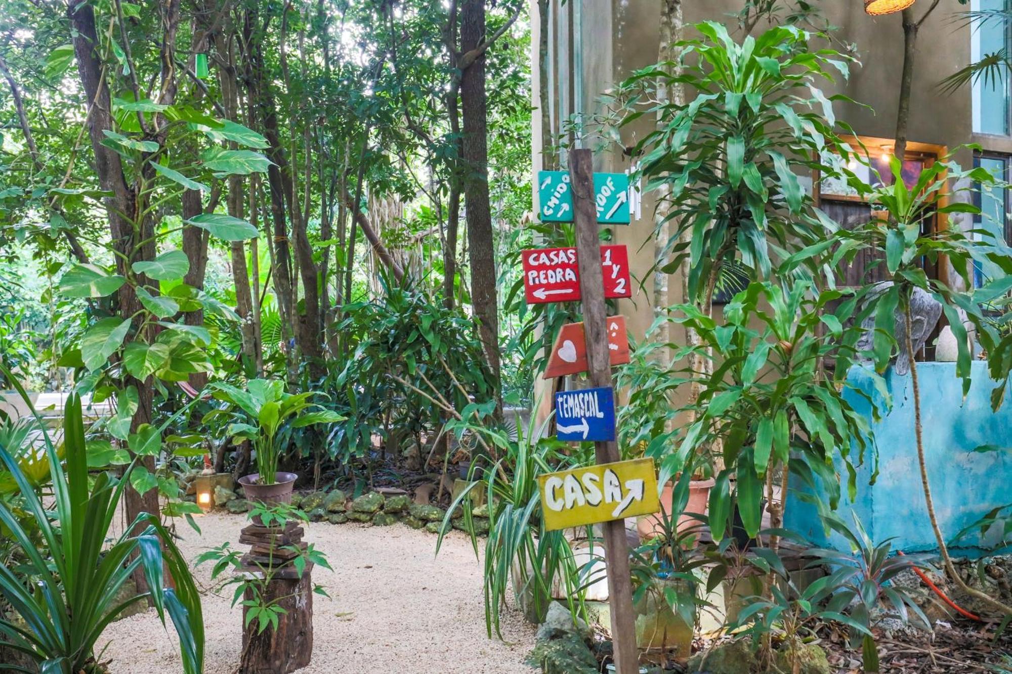 Guest House La Aldea Holistic Experience Cancún Eksteriør bilde