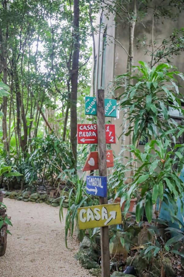 Guest House La Aldea Holistic Experience Cancún Eksteriør bilde