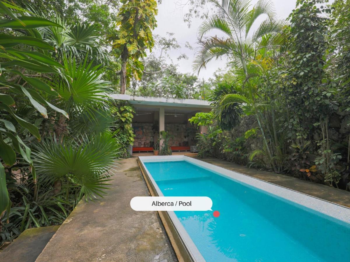 Guest House La Aldea Holistic Experience Cancún Eksteriør bilde